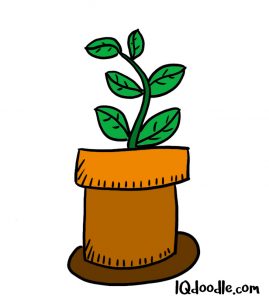how to doodel a pot plant