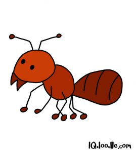 how to doodle an ant