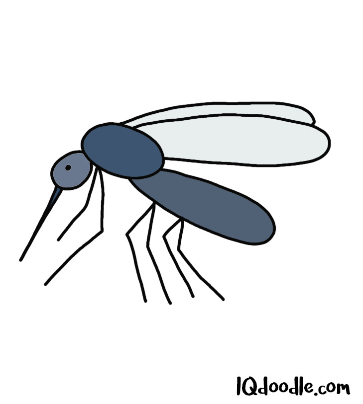 Mosquito Drawing Images  Free Download on Freepik