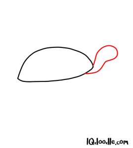 draw a turtle