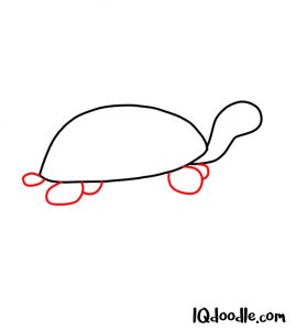 doodling a turtle