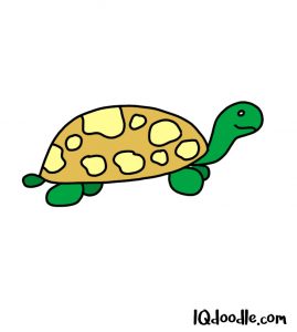 how to doodle a turtle